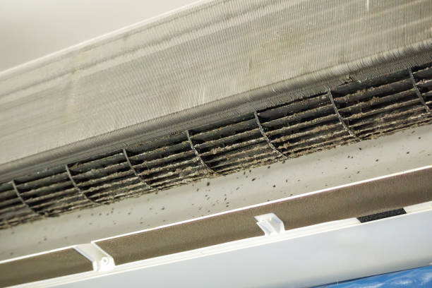 Best Residential Air Duct Cleaning  in North Vernon, IN